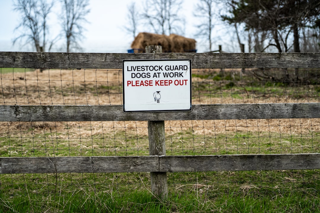 Cincinnati Dog Bite Lawyers — Gregory S. Young Co., LPA in Cincinnati